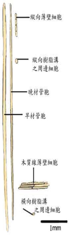 Image title